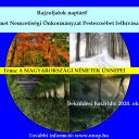 Rajzpályázat – eredmények